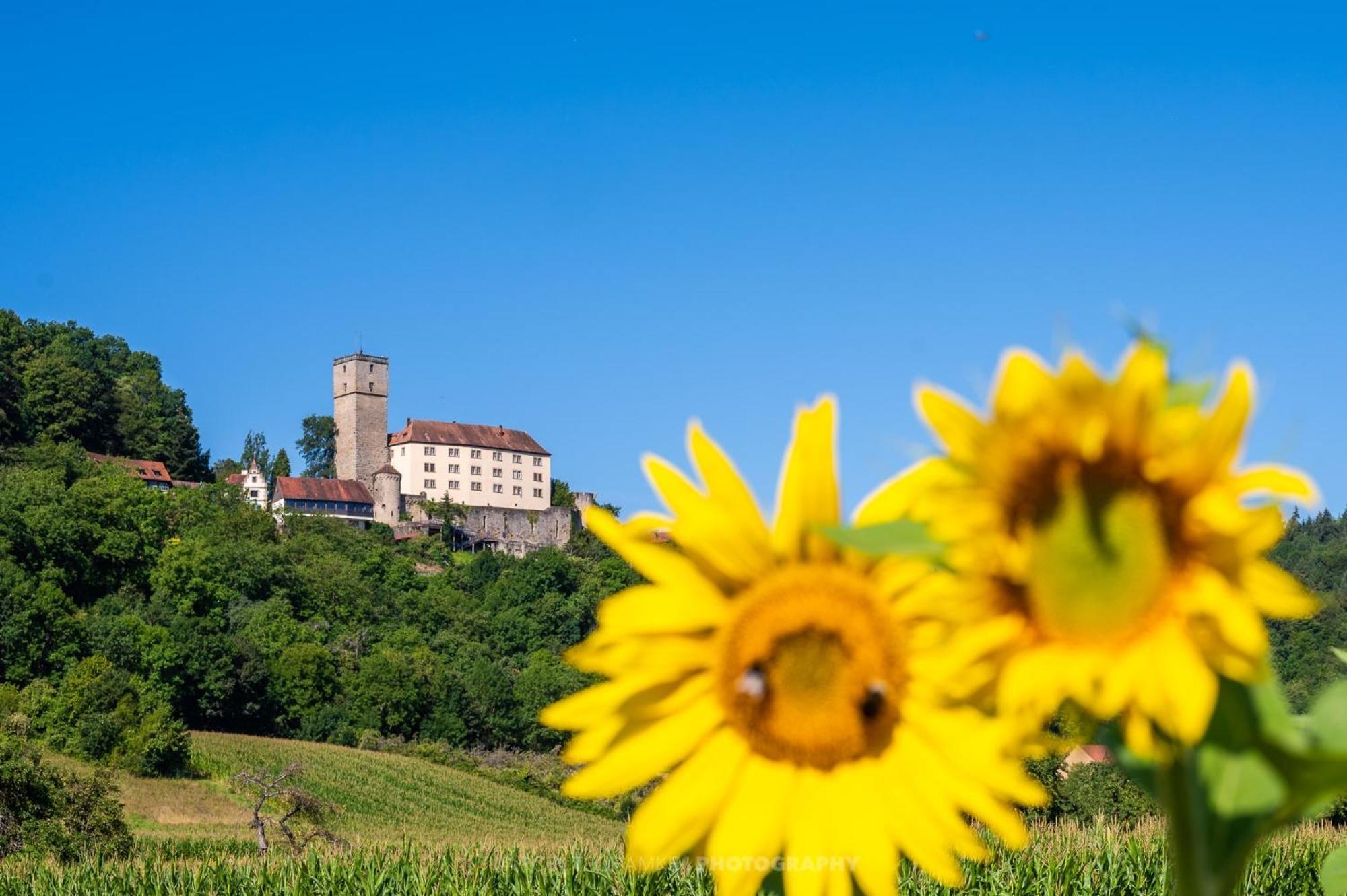 Wohnen Auf Der Ritterburg Villa Haßmersheim Exteriör bild